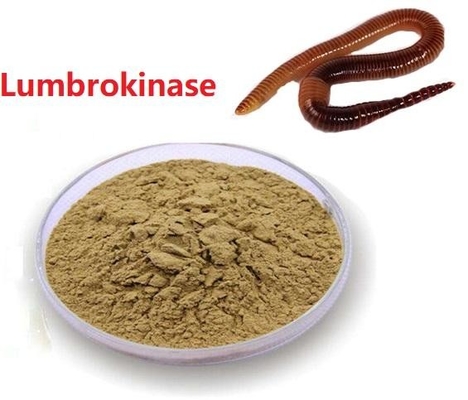 Van de het Uittreksel de veilige Levering van API Raw Powder Low Price Lumbrokinase Grondstof Lumbrokinase