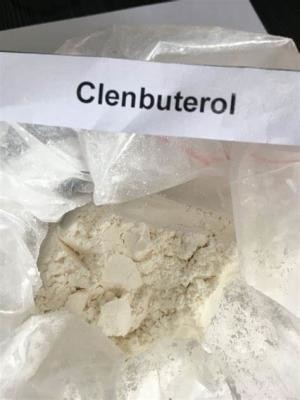 Van het de Clenbuterolwaterstofchloride van CAS 21898-19-1 het Poeder Api Chemical wickr me, wanjiang