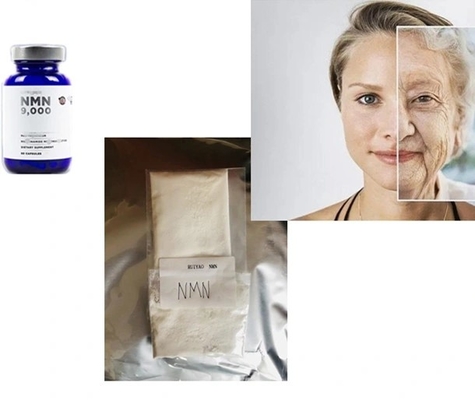 Zuivere Nmn-Supplementennicotinamide Mononucleotide Beta CAS 1094-61-7 Nmn
